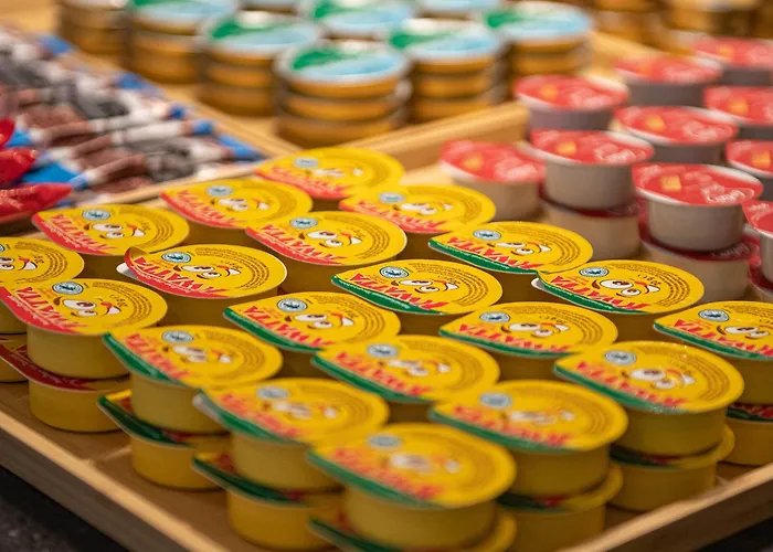 Sabot D'or Szálloda Blankenberge